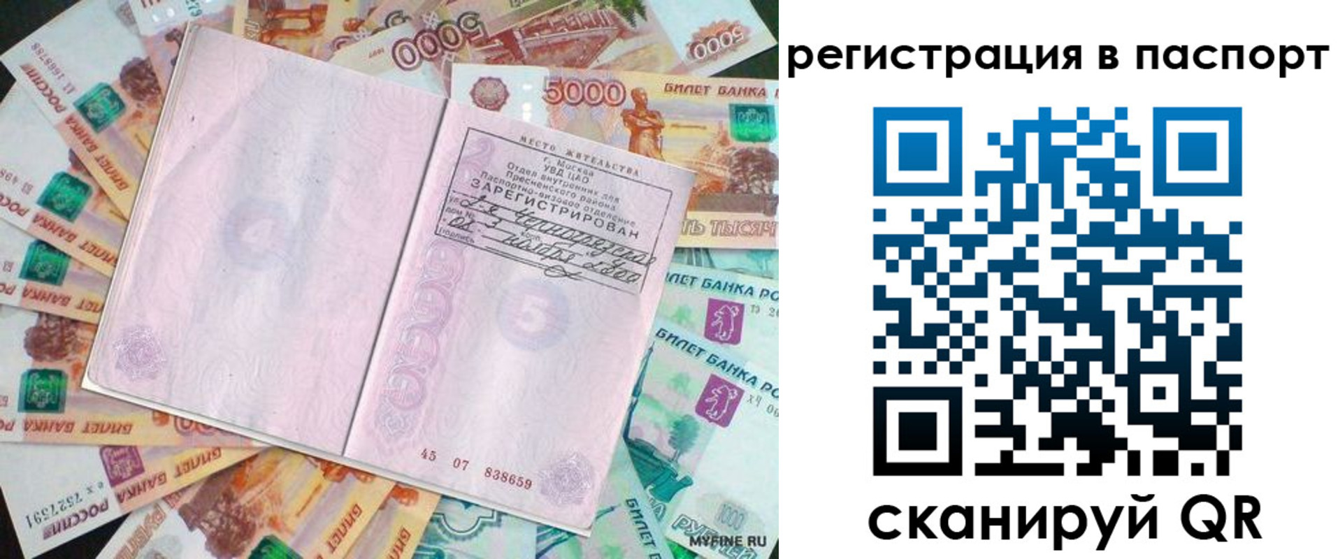 найти адрес прописки в Стародубе
